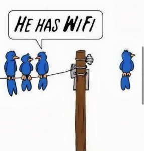 BirdsWifi