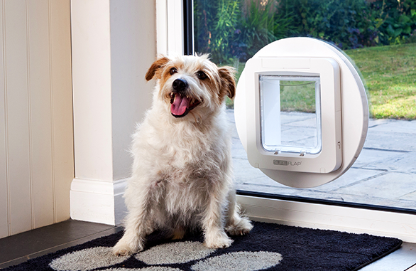 SureFlap\-Pet\-Door