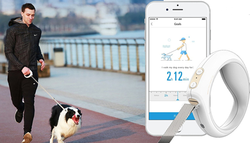 go\-smart\-pet\-leash