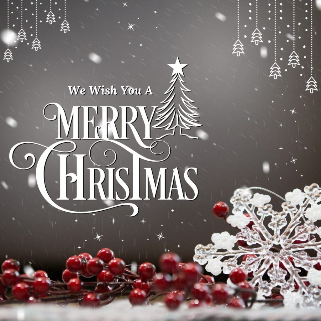 Merry Christmas 2023