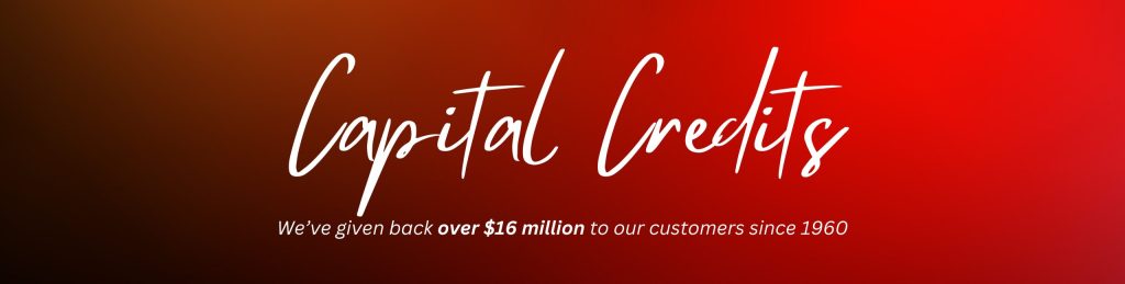 Website Headers \(4\)