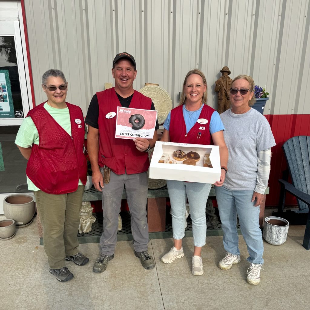 Week 3 \- Ace Hardware